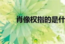 肖像权指的是什么（肖像权的含义）
