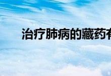 治疗肺病的藏药有哪些(藏药有哪些)