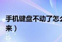 手机键盘不动了怎么办（手机键盘失灵弹不出来）