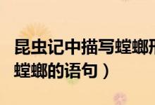 昆虫记中描写螳螂形态的句子（昆虫记中描写螳螂的语句）