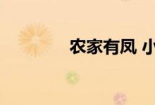 农家有凤 小说（农家有凤）
