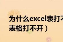 为什么excel表打不开怎么办（为什么excel表格打不开）