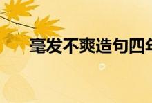毫发不爽造句四年级（毫发不爽造句）