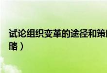试论组织变革的途径和策略论文（试论组织变革的途径和策略）