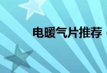 电暖气片推荐（电暖气片哪种好）