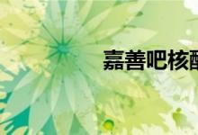 嘉善吧核酸点（嘉善吧）