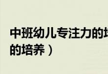 中班幼儿专注力的培养教案（中班幼儿专注力的培养）