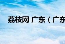 荔枝网 广东（广东荔枝网不能播放视频）