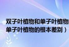 双子叶植物和单子叶植物的根本差别是什么（双子叶植物和单子叶植物的根本差别）