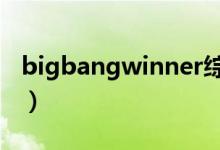 bigbangwinner综艺（bigbang综艺节目单）