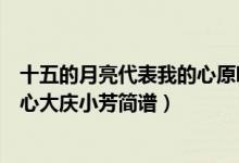 十五的月亮代表我的心原唱歌曲歌词（十五的月亮代表我的心大庆小芳简谱）