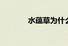 水蕴草为什么烂了（水蕴草）