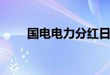 国电电力分红日期（国电电力分红）