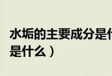 水垢的主要成分是什么化学（水垢的主要成分是什么）