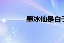 墨冰仙是白子画吗（墨冰仙）