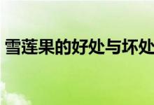 雪莲果的好处与坏处（雪莲果的功效与禁忌）
