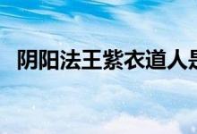 阴阳法王紫衣道人是好人坏人（阴阳法王）
