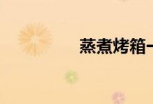 蒸煮烤箱一体机（蒸煮）
