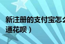 新注册的支付宝怎么开通花呗（支付宝怎么开通花呗）