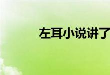 左耳小说讲了什么（左耳小说）