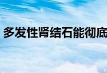 多发性肾结石能彻底根治吗（多发性肾结石）