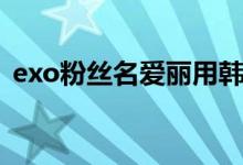 exo粉丝名爱丽用韩文怎么写（exo粉丝名）