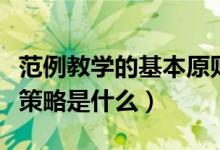 范例教学的基本原则是什么（范例教学的基本策略是什么）