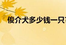 俊介犬多少钱一只?（俊介犬多少钱一只）