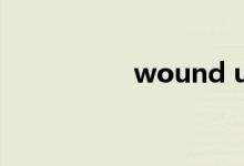 wound up（wound）