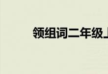 领组词二年级上册语文（领组词）