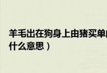 羊毛出在狗身上由猪买单的意思（羊毛出在狗身上猪来买单什么意思）