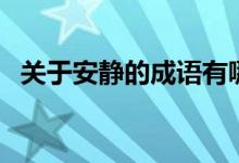 关于安静的成语有哪些（关于安静的成语）