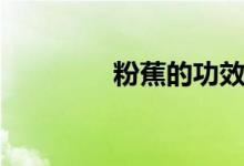 粉蕉的功效与作用（粉蕉）