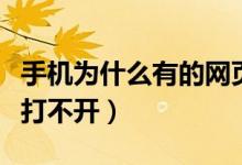 手机为什么有的网页打不开（为什么有的网页打不开）
