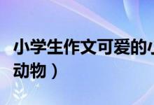 小学生作文可爱的小动物（小学作文可爱的小动物）