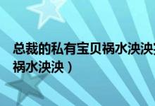 总裁的私有宝贝祸水泱泱完整小说在哪看（总裁的私有宝贝祸水泱泱）