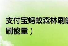 支付宝蚂蚁森林刷能量软件(支付宝蚂蚁森林刷能量)