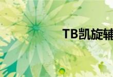 TB凯旋辅助（tb凯旋）
