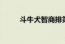 斗牛犬智商排第几（斗牛犬智商）