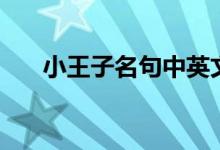 小王子名句中英文对照（小王子名句）