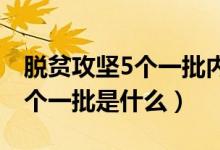 脱贫攻坚5个一批内容（脱贫攻坚要实施的五个一批是什么）