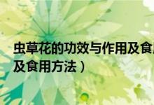 虫草花的功效与作用及食用方法禁忌（虫草花的功效与作用及食用方法）