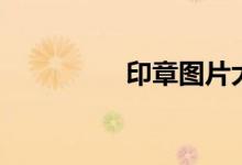 印章图片大小（印章图）