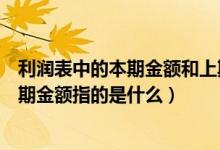 利润表中的本期金额和上期金额分别指什么（利润表中的上期金额指的是什么）