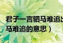君子一言驷马难追出自哪个典故（君子一言驷马难追的意思）