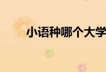 小语种哪个大学排名（小语种大学）