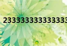2333333333333333333333乐园（2333）