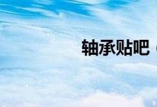 轴承贴吧（天天轴承网）