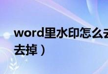 word里水印怎么去除（word里的水印怎么去掉）