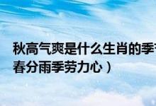 秋高气爽是什么生肖的季节（十二生肖中谁秋高气爽人人爱春分雨季劳力心）